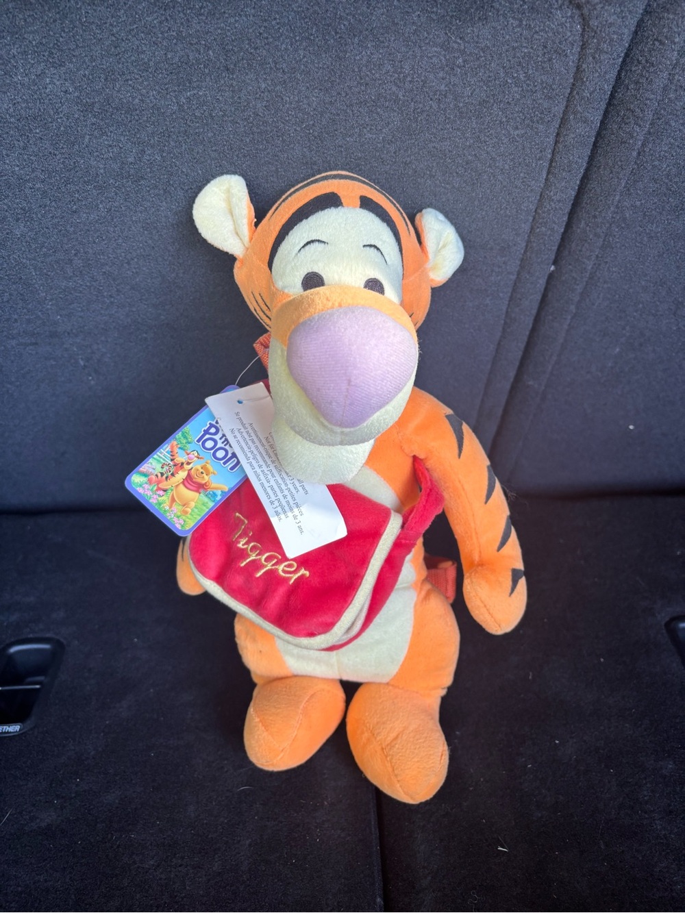 Vintage kids Winnie the Pooh -Tigger Backpack